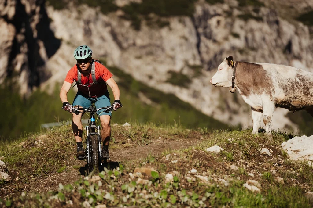 Journey with Go-alura, bike and e-bike experience