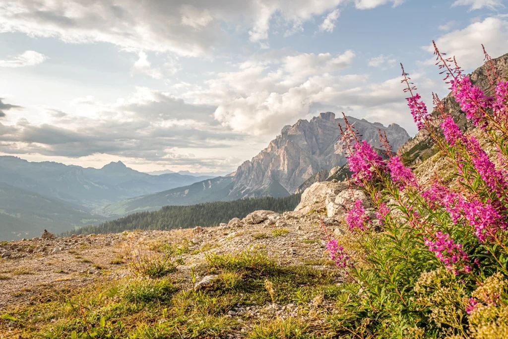alta badia go altura nature