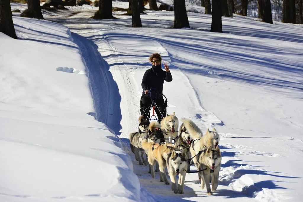 husky go altura